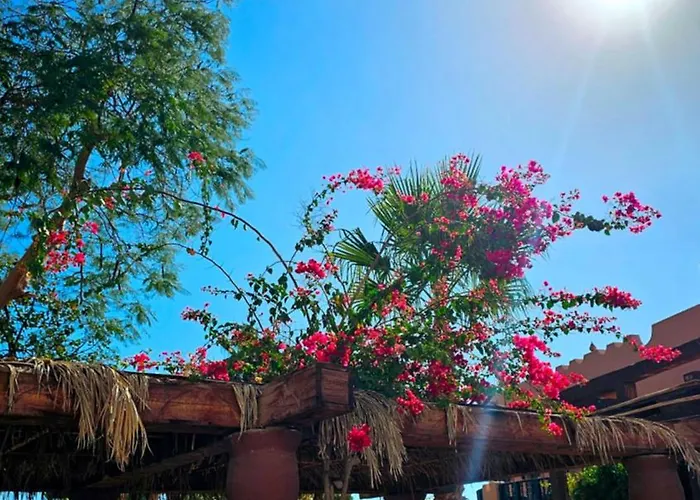 Apartment Blue Bay Delta Sharm El-Sheikh