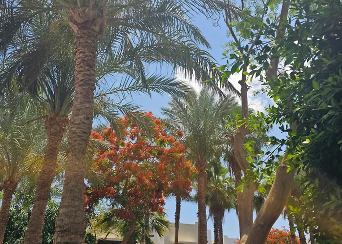 Apartment Blue Bay Delta Sharm El-Sheikh